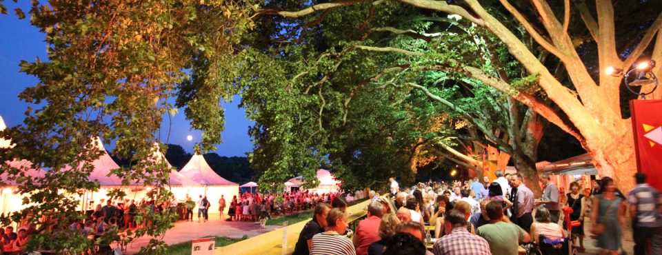 #15 BermudaShorts 15. Festival des deutschen Films Ludwigshafen am Rhein